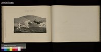 日清戰爭寫真帖 (1897.4.3)藏品圖，第14張